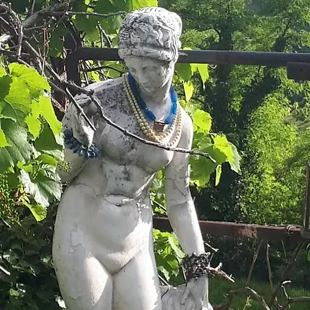 La Collina Olistica Bed & Breakfast