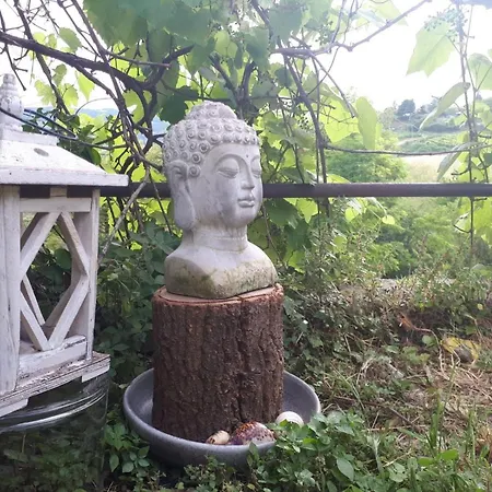 La Collina Olistica Tregnago