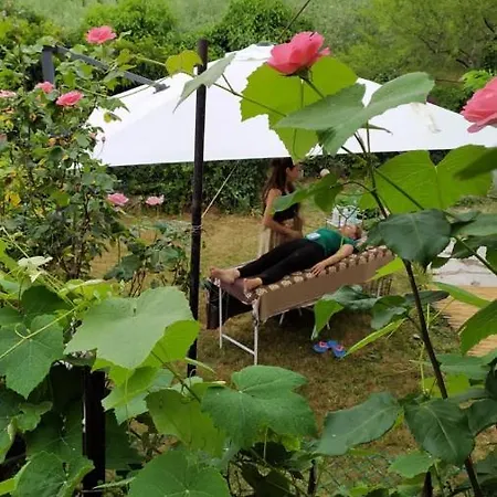 Bed and Breakfast La Collina Olistica Tregnago