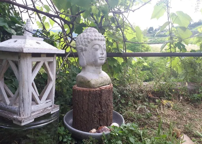 La Collina Olistica Tregnago