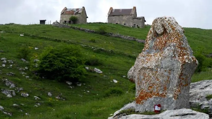 Couette-café La Collina Olistica Tregnago