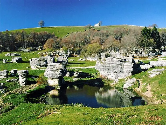 La Collina Olistica *