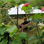Bed & Breakfast La Collina Olistica Tregnago