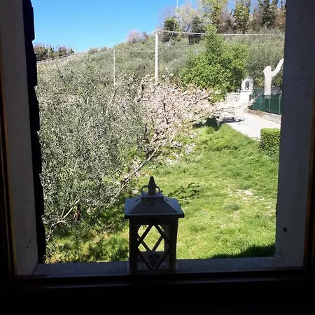 La Collina Olistica Tregnago